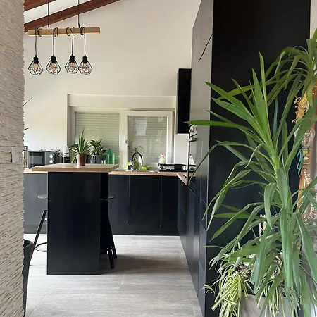Apartman House Femini